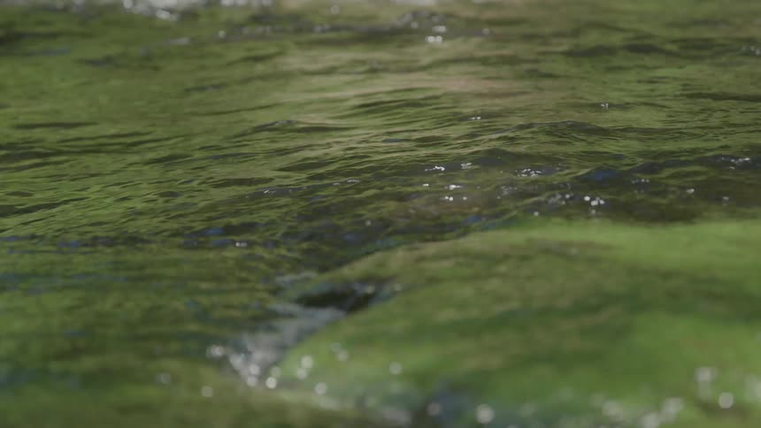 The water is flowing over and around a cluster of mossy rocks creating ripples and small eddies the overall color of the water is a deep green reflecting the lush natural environment