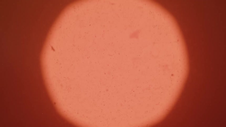 Orange surface with a grainy texture and small dark spots