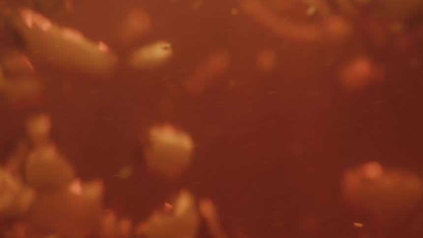 A blurry macro shot captures countless bubbles and particles rising through a warm ambercolored liquid