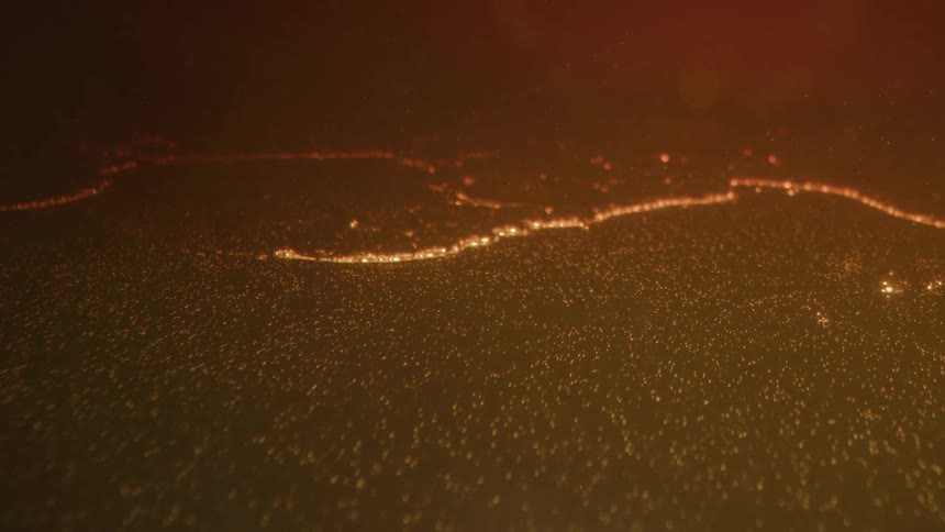 Shimmering golden particles form glowing lines on a dark background