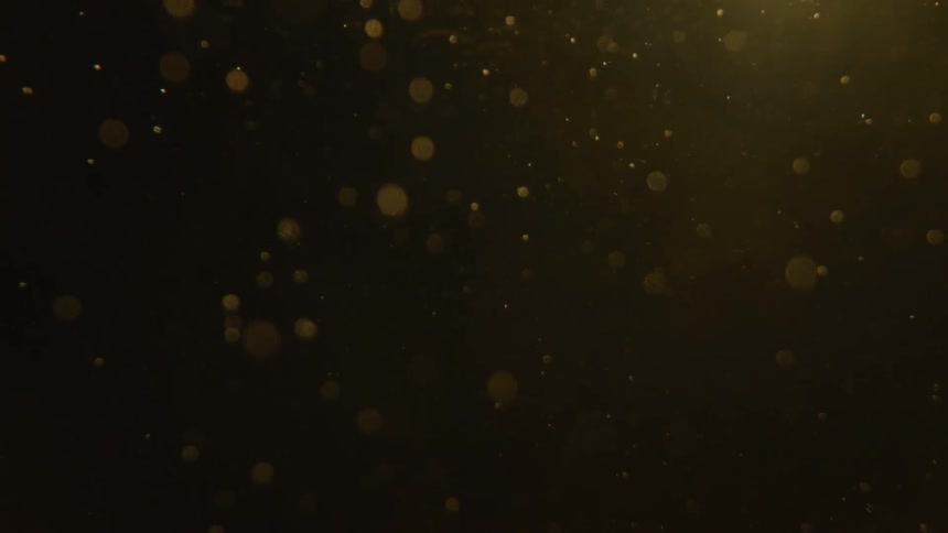 Outoffocus golden bubbles float slowly upwards through a dark liquid illuminated by a warm light that gives them a sparkling effervescent quality