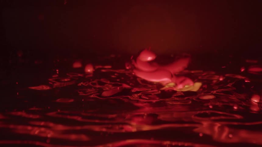 Red liquid bubbles and abstract shapes move under dramatic lighting
