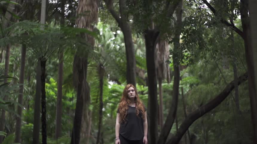 A woman standing in a dense forest looks up