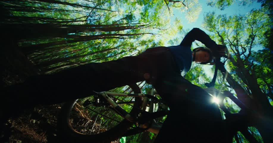 A person walks with a bicycle through a sunlit forest