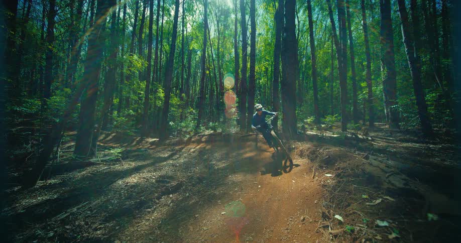 A man wearing a helmet and a dark shirt rides a mountain bike down a winding dirt path in a thick forest as a bright sun shines through the trees creating a lens flare