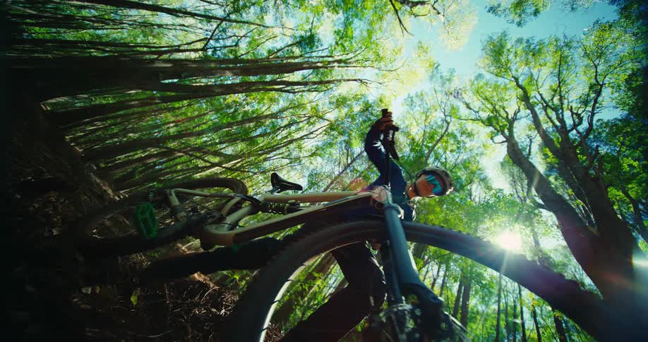 A dynamic lowangle shot captures a person on a mountain bike as they ride up a dirt trail the camera positioned near the front tire looks up through the tall sundrenched trees that surround the path