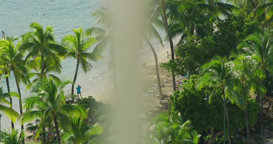 People are standing on the beach of the tropical island