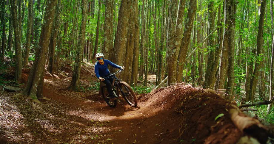 A shot from a mountain biking trail shows a person on a bike riding up a dirt berm the rider is wearing a helmet and a blue shirt and is biking through a dense forest with tall trees