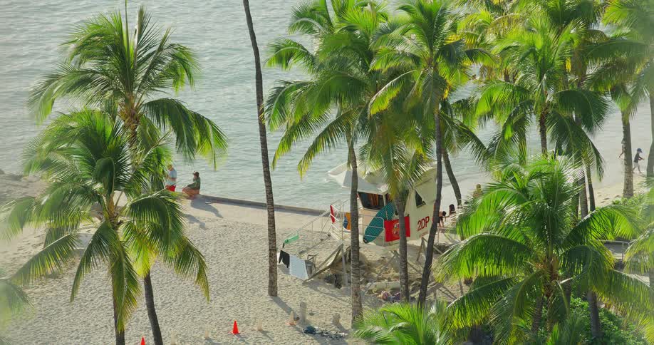 A person sits on the sand next to a lifeguard stand which is surrounded by palm trees there are a few people walking on the beach and in the water in the distance