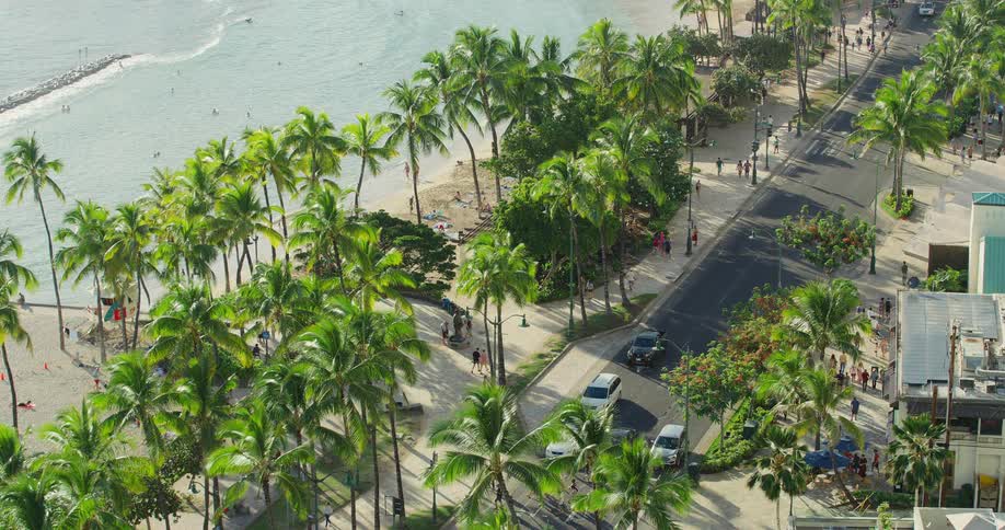 A highangle aerial view of a busy tropical street lined with tall palm trees with a sandy beach and the ocean to the left and people and cars moving along the road