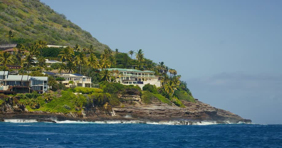 Houses on cliffside surrounded by palm trees facing the blue ocean