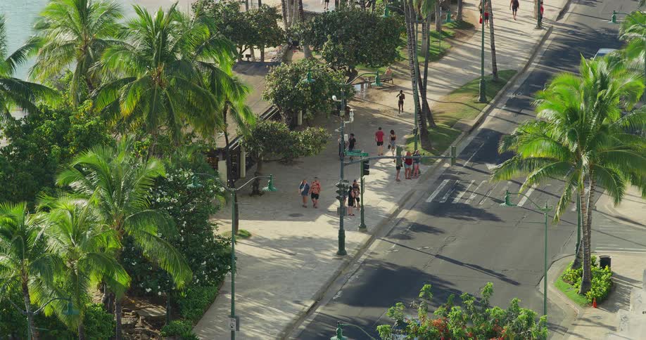 An aerial shot captures a busy street scene lined with tall palm trees people are walking along a wide sidewalk while a few cars drive past on the adjacent street