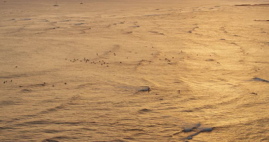 Surfers are floating in the ocean