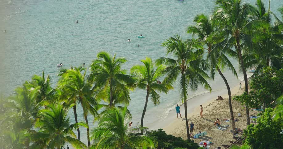 People relax under palm trees on a tropical beach beside the ocean