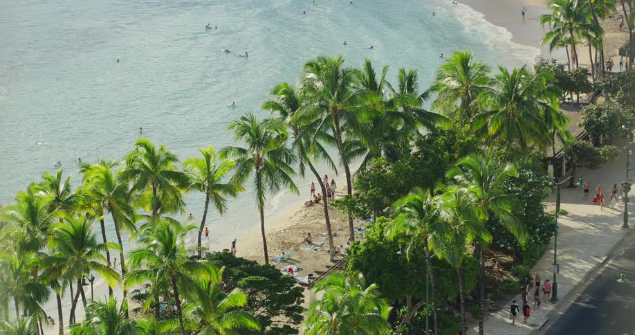 People on a tropical beach