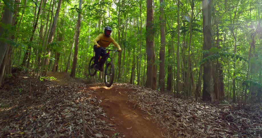 A boy riding a bicycle on a path inside the forest at daytime
