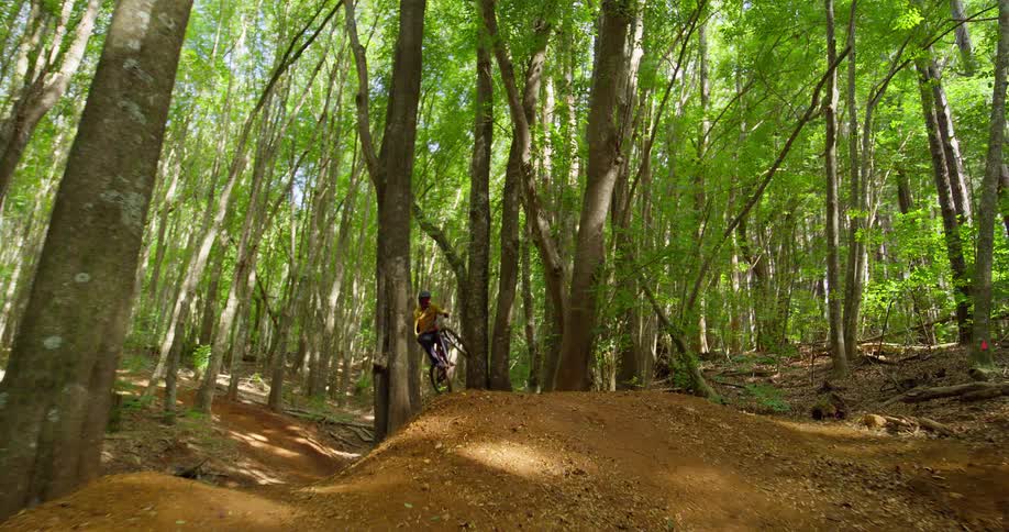 Person performing mountain bike balance in forest