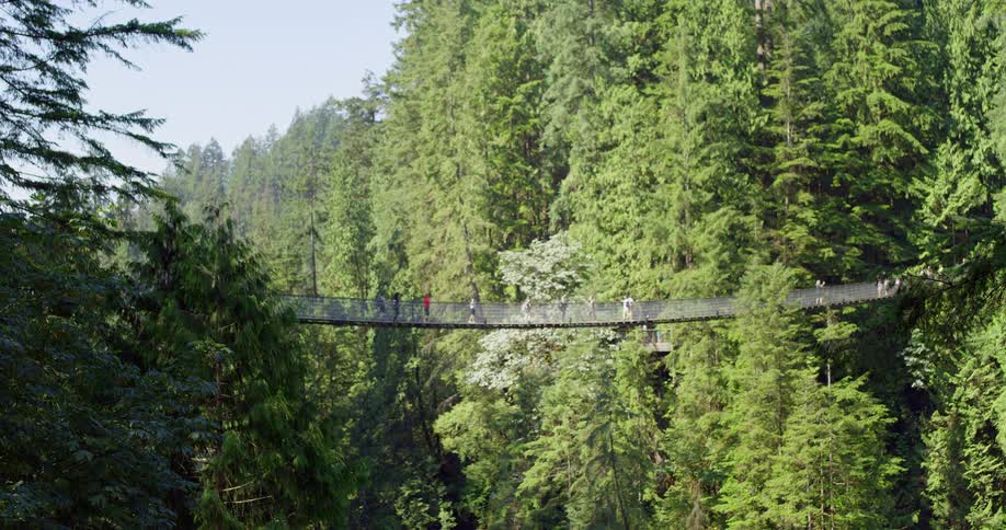 Pedestrians cross a hanging footbridge between steep forested slopes