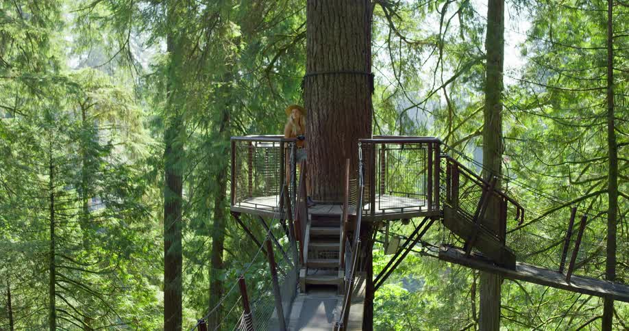 Woman wearing a hat and denim shorts walks along a suspended walkway among trees in the forest