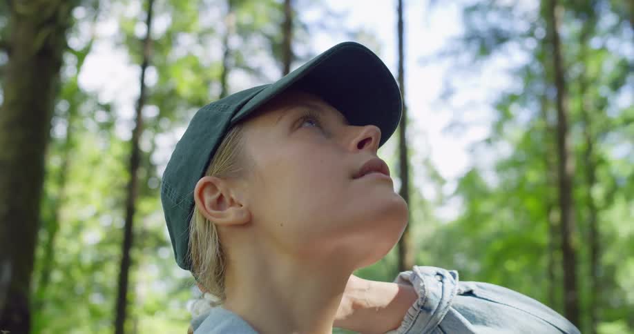 Face of a woman looking up while standing in a forest area at sunrise