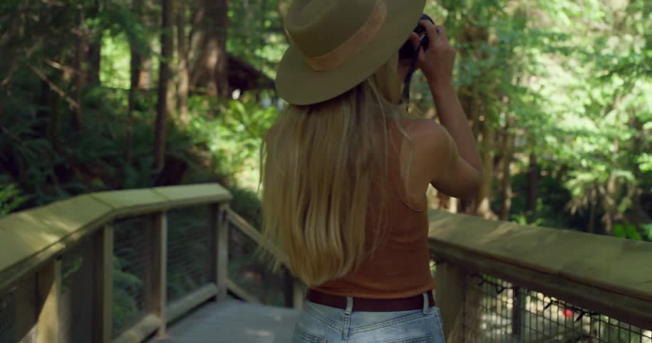 The woman is taking photos of the large forest on a sunny day