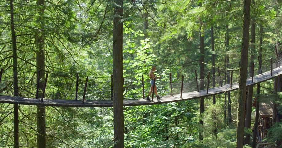 A wide shot captures a young woman walking alone across a rope bridge suspended high among tall trees she stops and looks down at the forest below then continues on her way