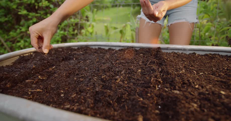 A woman planting seeds in a planter in the garden at midday