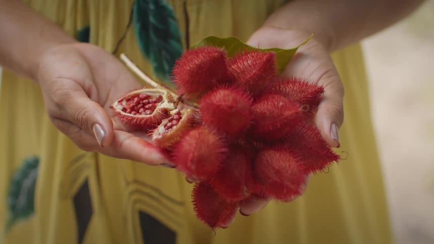 A woman in a dress is holding a bunch of red fruit