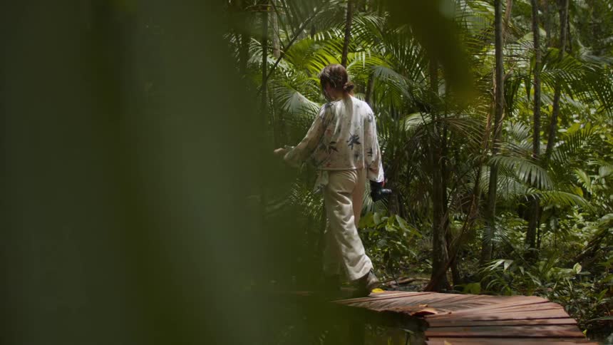 A lone walker crosses a wooden boardwalk through dense rainforest