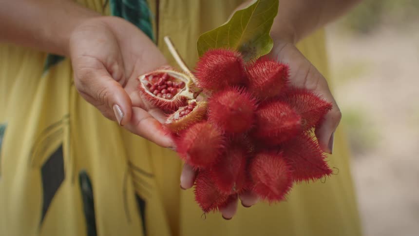 A woman holds a mysterious fruit in her hands