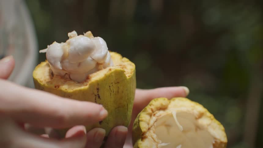 A woman is holding a piece of fruit cut in half