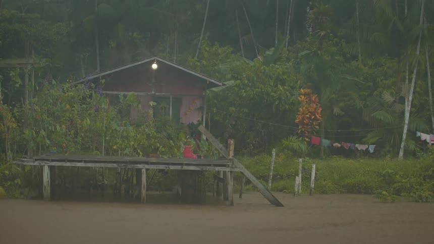 Heavy rain is pouring on the forest and shelter