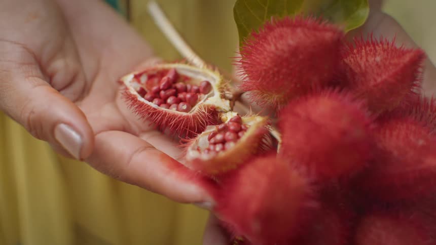 A woman is holding fruit from a bunch