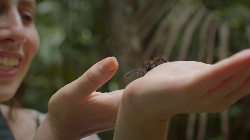 The woman smiles as the spider crawls on her hands