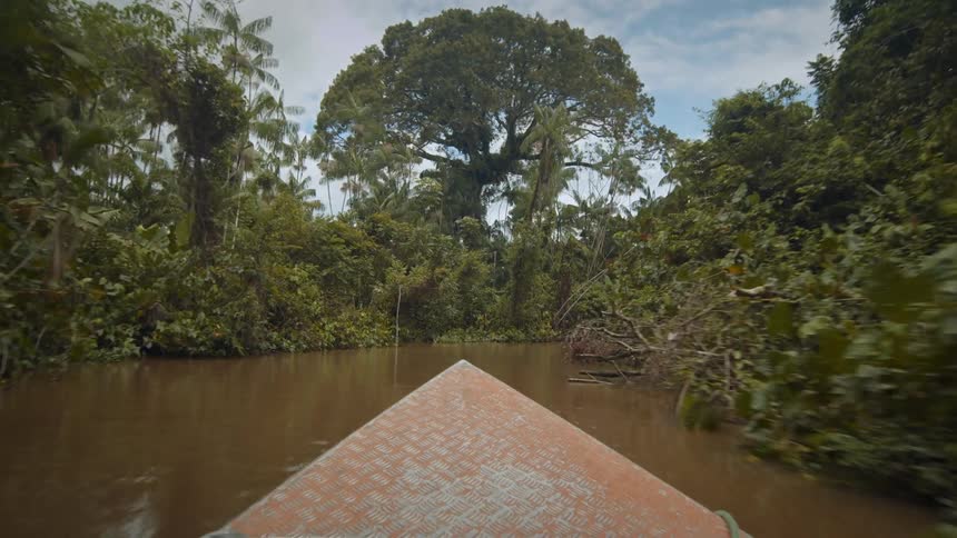Canoe maneuvers along a murky greenish river passing through a forest on a cloudy day