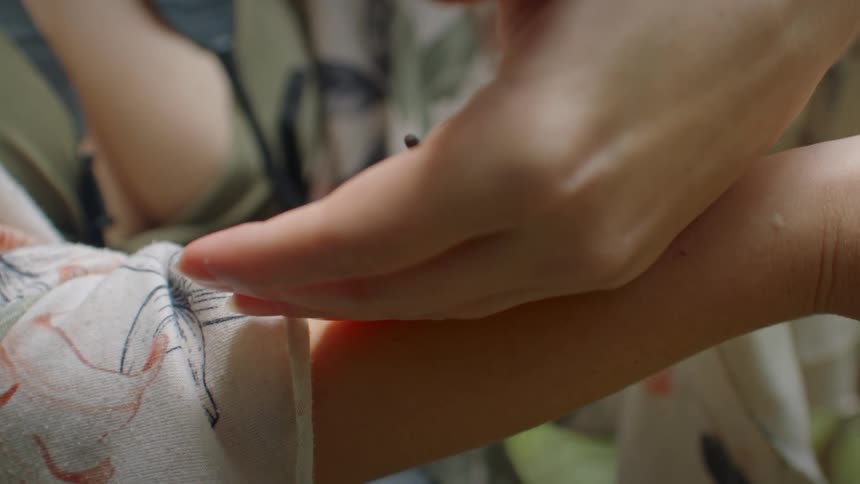 Hand holds a black and reddish tarantula