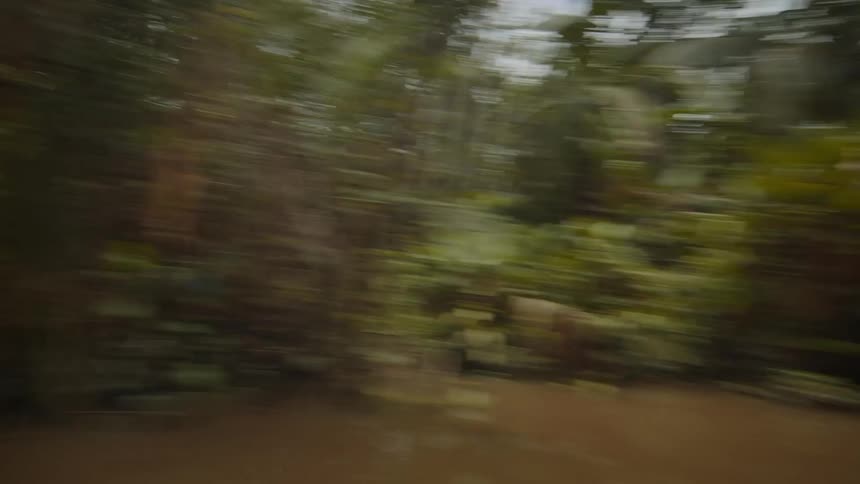 The boat travels fast down the stream