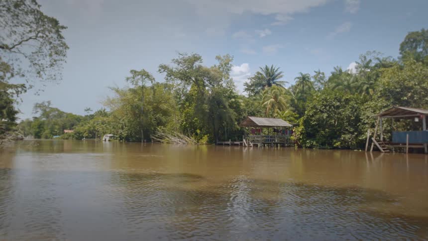 A calm river flows through a tropical landscape under a clear sky