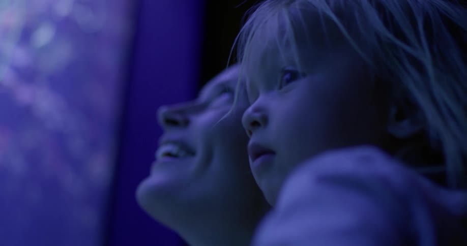A mother and daughter look at the exhibits in the aquarium