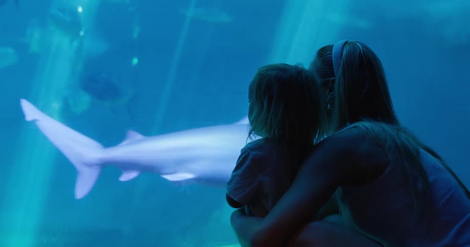 Mother and daughter watch a shark swim together in an aquarium