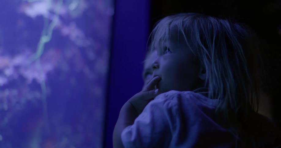 The video shows a closeup of a child held by an adult both looking at a colorful glowing screen the child points to the screen with a look of awe the childs mouth is slightly open expressing wonder