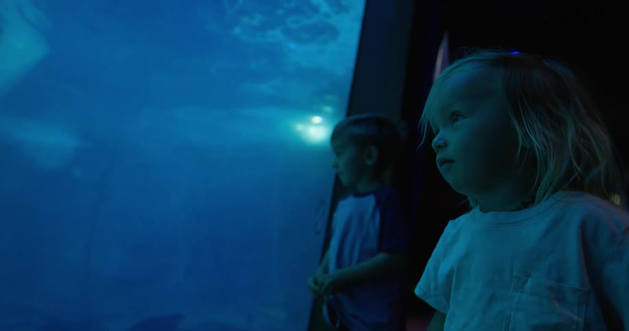 Two kids are looking at a large aquarium that has sharks in it
