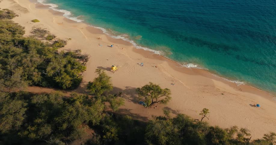 Aerial view of a sandy beach with turquoise waves and scattered trees