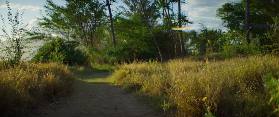 The video shows a wideangle shot of a dirt path cutting through a field of dry wild grasses the sun is setting casting a warm light and lens flare over the scene