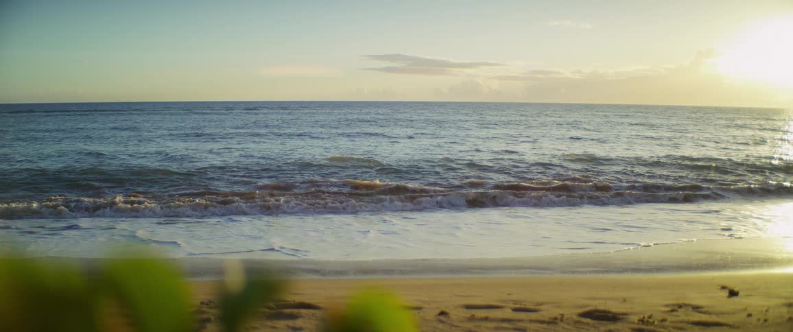 Waves are rolling into a grassy beach