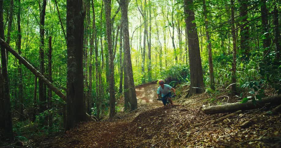 A rider pops off a berm and soars through a sunlit forest singletrack