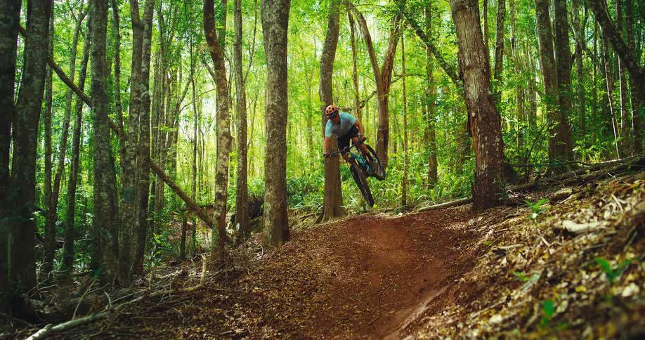A man is riding a mountain bike on a trail through a forest