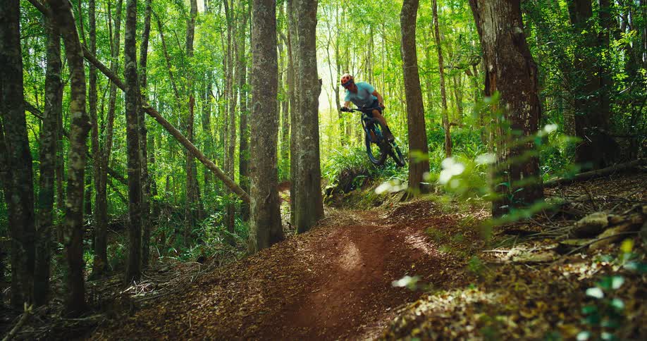 Cyclist performing a jump on a mountain biking trail in a sunlit forest