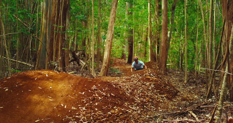 Cyclist rides a dirt jump line through a green forest