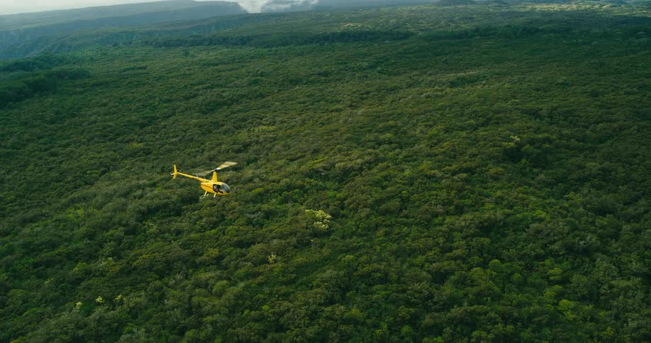 A yellow helicopter cruises above an endless green rainforest canopy